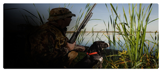 DNSEMP-L-312 Gone Hunting (Duck with Dog)